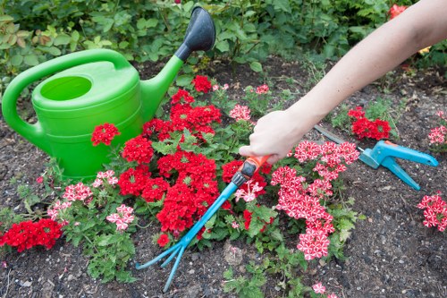 A garden scene featuring a flower bed with vibrant red and pink flowers, surrounded by dark soil. A person's hand is seen holding a pair of gardening tools, possibly pruning or planting, with the arm extending from the right side of the image. To the left, there is a bright green plastic watering can resting on the soil, indicating ongoing garden maintenance. In the background, lush green foliage and plants create a natural backdrop. The outdoor environment appears well-maintained and suitable for gardening activities typical of a residential outdoor space in Limehouse, London. The lighting suggests a bright, possibly sunny day, ideal for outdoor gardening. This scene reflects general garden care practices supported by professional gardening services like Lawn Mowing Limehouse, focusing on flower bed upkeep and plant health. The overall setting emphasizes the importance of detailed flower bed maintenance and outdoor plant care within a typical urban garden landscape.