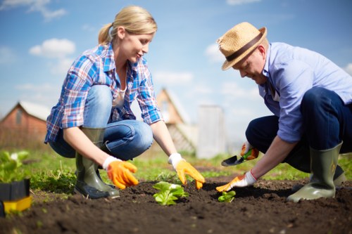 Final mulch and compost distributed to local urban planting project