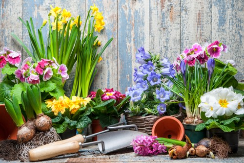 A collection of flowering plants in small pots and containers arranged on a rustic wooden surface with a weathered blue and white painted background. The plants include yellow daffodils, pink primroses, purple pansies, and white primroses, all with healthy green foliage. Some bulbs and soil are visible, and gardening tools such as a small hand trowel, a watering can, and a garden fork are placed nearby. The scene depicts a well-maintained garden setting suitable for outdoor plant care, reflecting general gardening and planting activities associated with local horticultural services in Limehouse or the surrounding area.