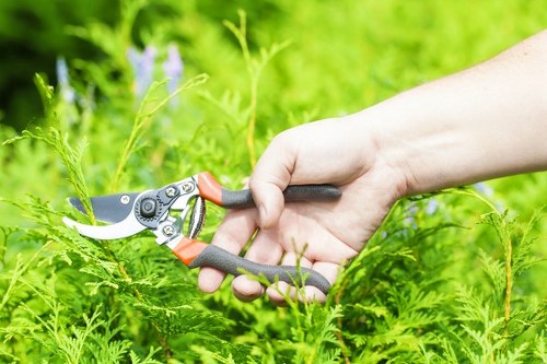 Healthy green grass in a Limehouse residential lawn